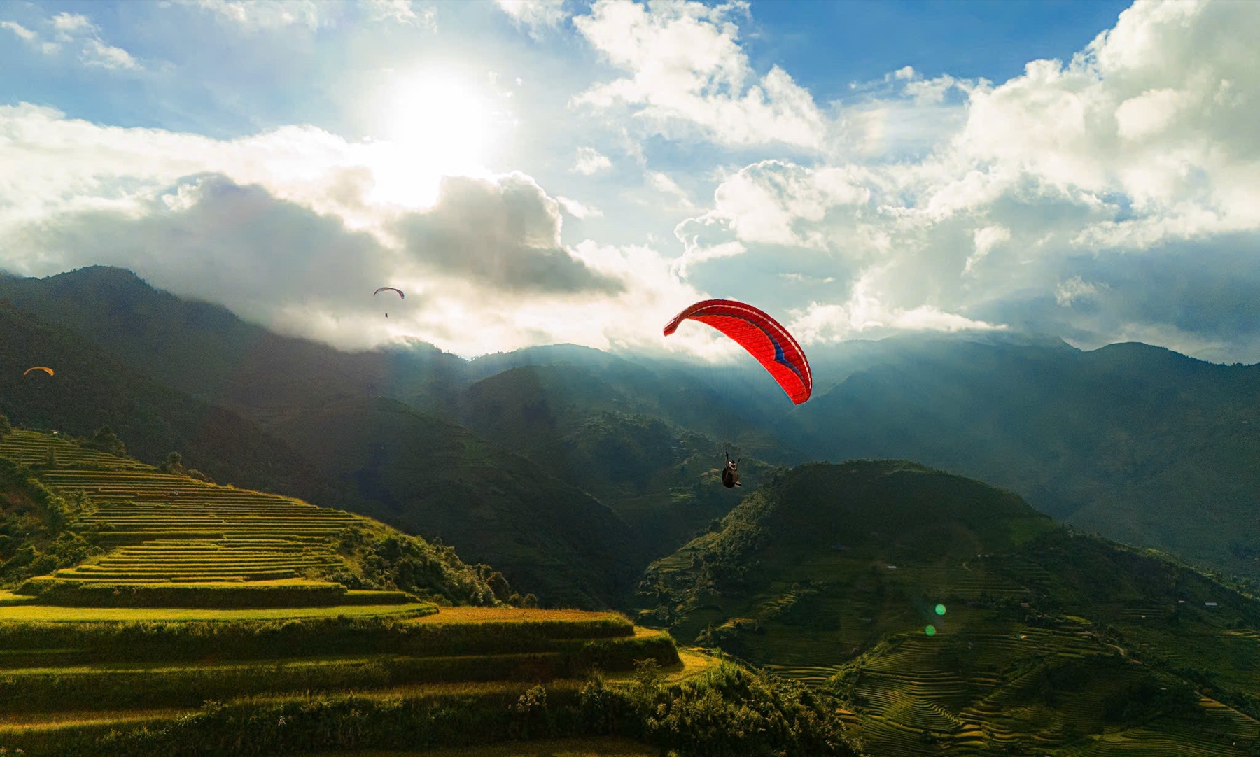 Cánh dù bay trong nắng chiều