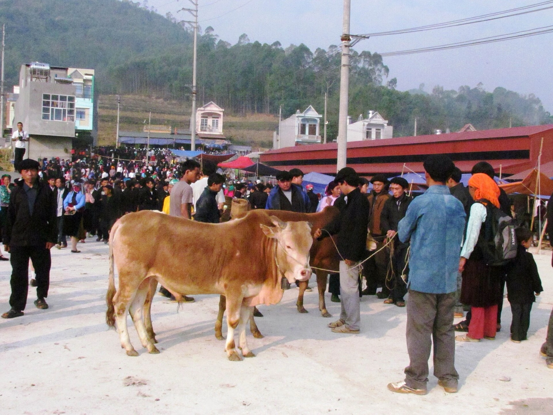 Một góc chợ phiên Đồng Văn