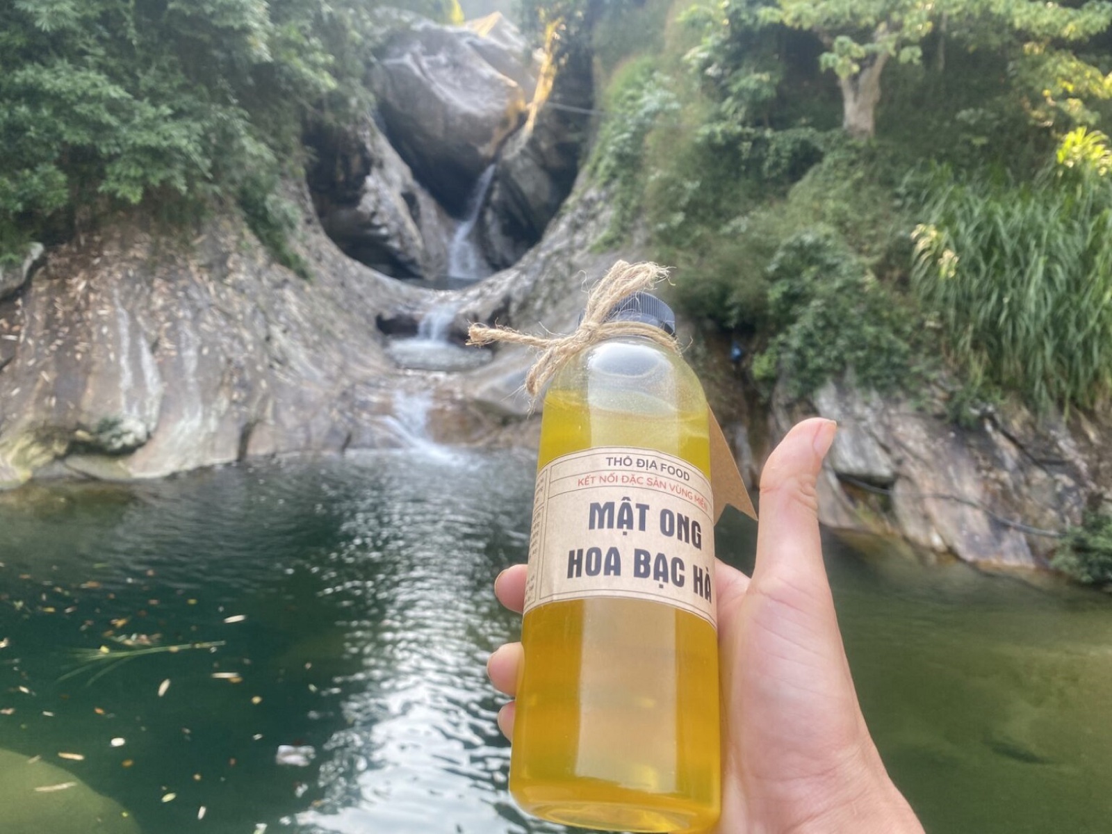 Mật ong hoa bạc hà Hà Giang