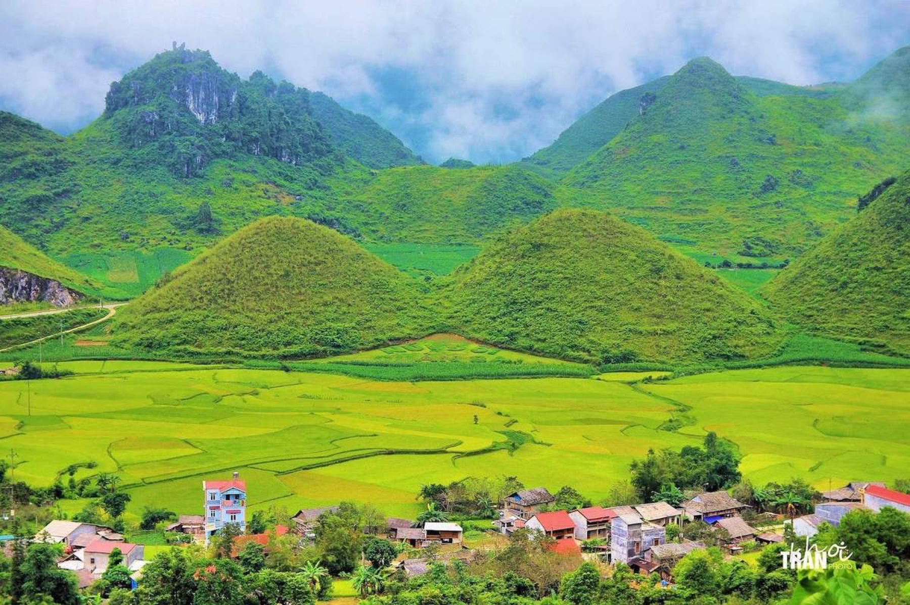 Núi đôi giữa mùa lúa chín